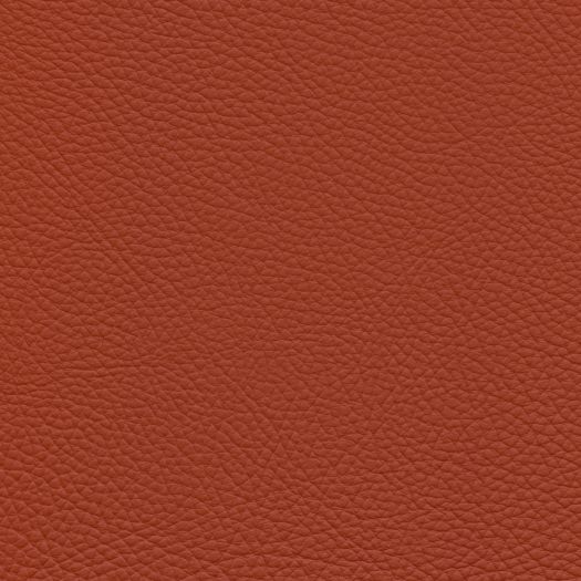 TO1488 Torino Rust