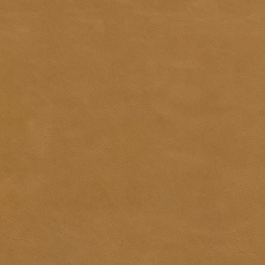 V378 Vintage Buckskin