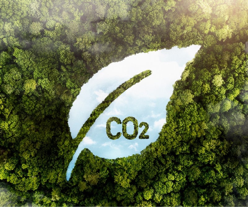 Carbon Offsets Image