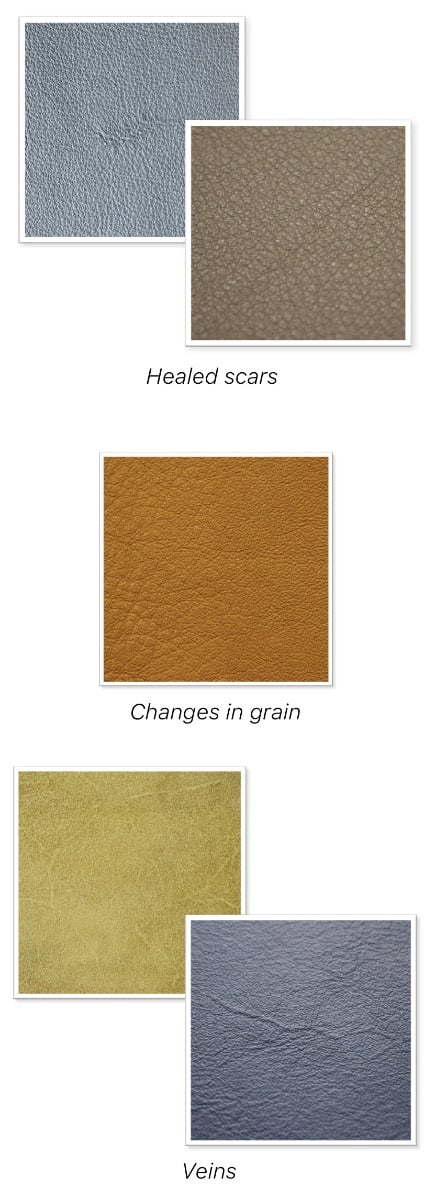 Leather Markings